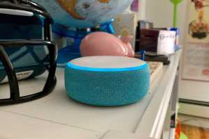 How to drop in on all your Amazon Echo devices at once