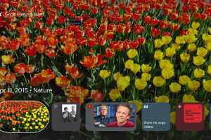 Roku vs. Google TV and others: Don't overlook this one feature