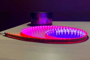 Govee's first Matter product is a 6.5-foot color light strip