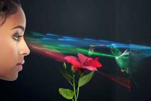 Light Field Lab’s SolidLight offers a true holographic video display