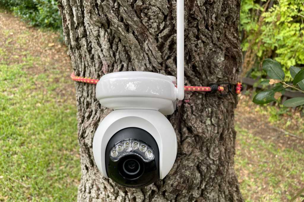 Reolink Altas PT on tree
