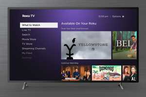 Roku moves to acquire a 20-percent stake in Starz