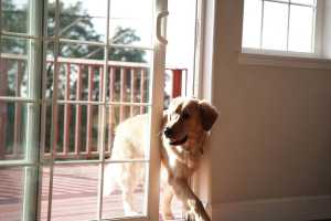 SmartSlydr is a robotic opener for sliding doors and windows